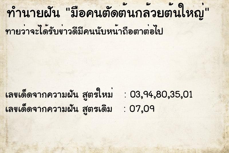 ทำนายฝันทำนายฝันมือคนตัดต้นกล้วยต้นใหญ่