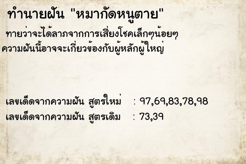 ทำนายฝัน หมากัดหนูตาย ทำนายฝัน หมากัดหนูตาย