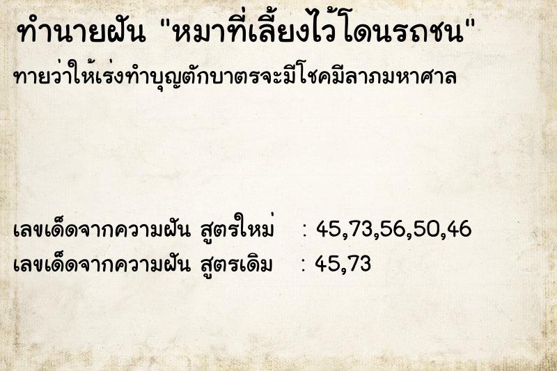 ทำนายฝันหมาที่เลี้ยงไว้โดนรถชน ทำนายฝันทำนายฝันหมาที่เลี้ยงไว้โดนรถชน