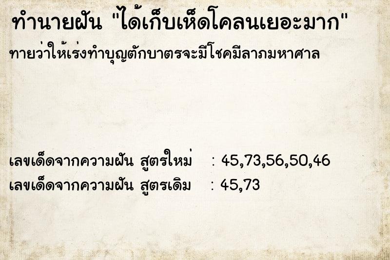 ทำนายฝันทำนายฝันได้เก็บเห็ดโคลนเยอะมาก