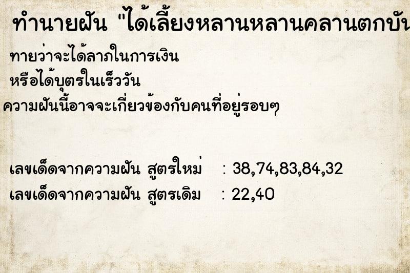 ทำนายฝันทำนายฝันได้เลี้ยงหลานหลานคลานตกบันได