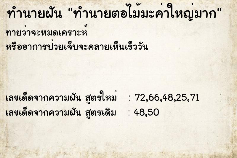ทำนายฝันทำนายฝันทำนายตอไม้มะค่าใหญ่มาก