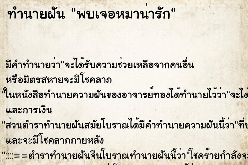 ทำนายฝันทำนายฝันพบเจอหมาน่ารัก