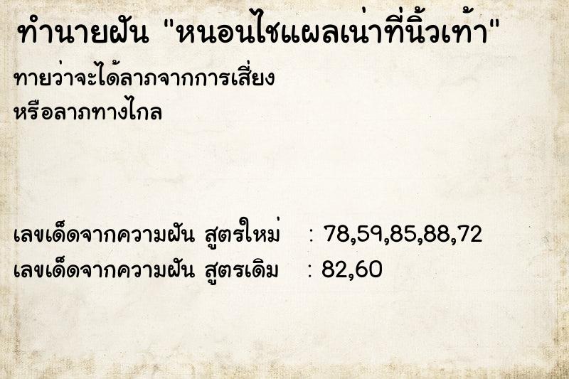 ทำนายฝันหนอนไชแผลเน่าที่นิ้วเท้า ทำนายฝันทำนายฝันหนอนไชแผลเน่าที่นิ้วเท้า