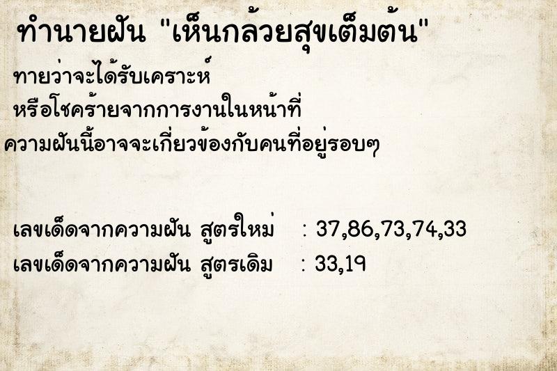 ทำนายฝันทำนายฝันเห็นกล้วยสุขเต็มต้น