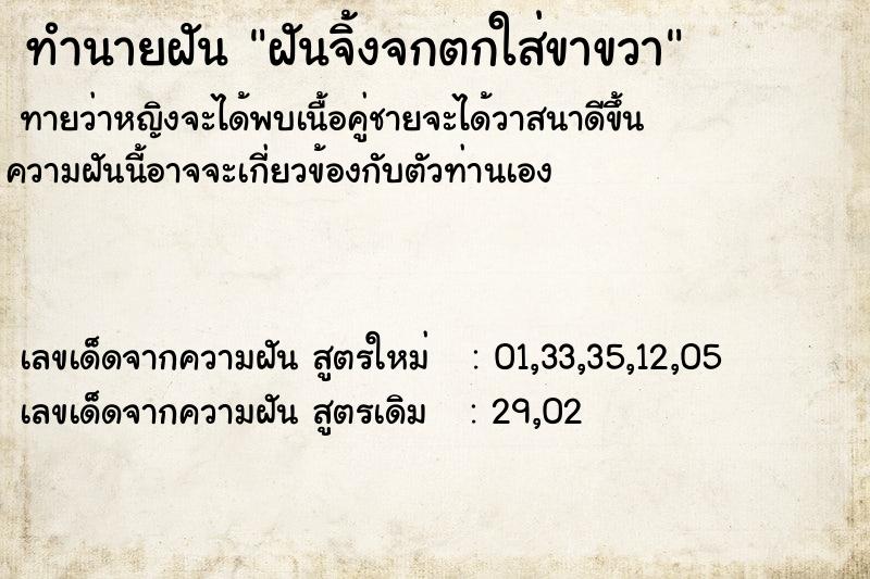 ทำนายฝันฝันจิ้งจกตกใส่ขาขวา ทำนายฝันทำนายฝันฝันจิ้งจกตกใส่ขาขวา