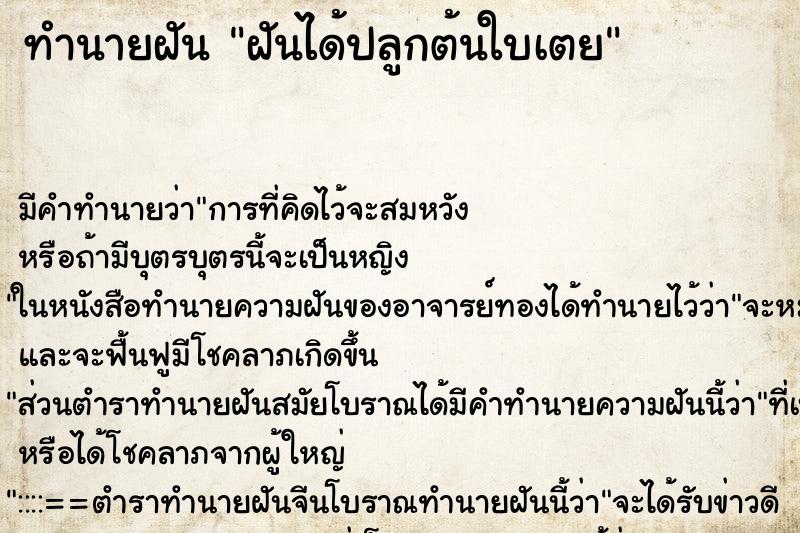 ทำนายฝัน ฝันได้ปลูกต้นใบเตย ตำราโบราณ แม่นที่สุดในโลก