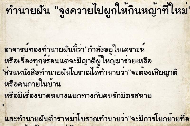 ทำนายฝัน จูงควายไปผูกให้กินหญ้าที่ใหม่ ทำนายฝัน จูงควายไปผูกให้กินหญ้าที่ใหม่