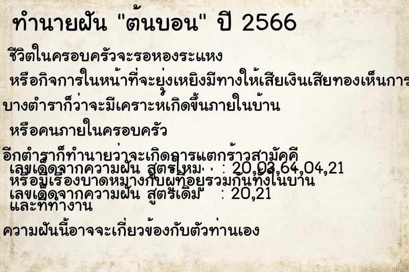 ทำนายฝัน ต้นบอน แม่นๆ ฟรี ด้วยตำราหนังสือทำนายฝันโบราณ ทำนายฝันต้นบอน
