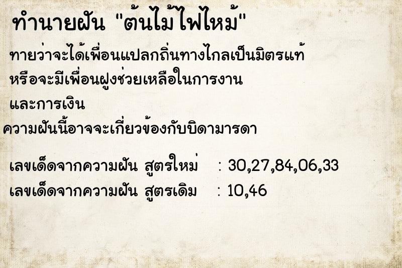 ทำนายฝัน ต้นไม้ไฟไหม้