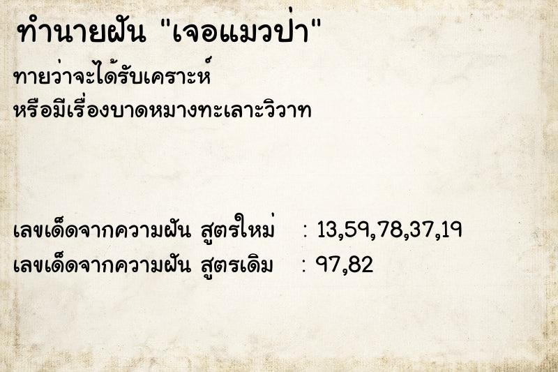 ทำนายฝันทำนายฝันเจอแมวป่า