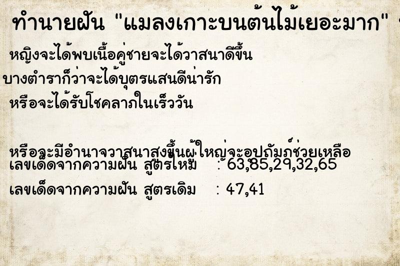 ทำนายฝัน แมลงเกาะบนต้นไม้เยอะมาก ทำนายฝัน แมลงเกาะบนต้นไม้เยอะมาก