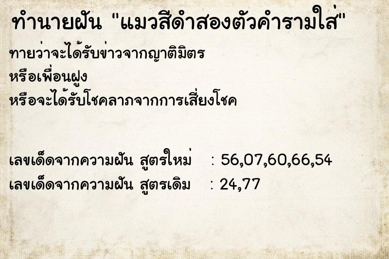 ทำนายฝันทำนายฝันแมวสีดำสองตัวคำรามใส่
