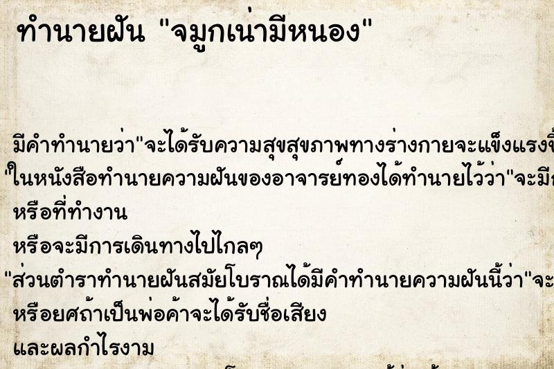 ทำนายฝัน จมูกเน่ามีหนอง ทำนายฝัน จมูกเน่ามีหนอง