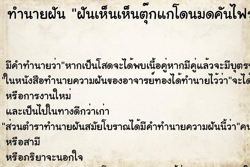 ทำนายฝันทำนายฝันฝันเห็นเห็นตุ๊กแกโดนมดคันไฟรุมกัดทั้งตัว2ตัว