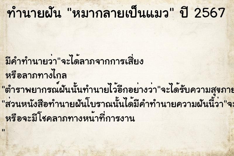 ทำนายฝัน หมากลายเป็นแมว ทำนายฝัน หมากลายเป็นแมว