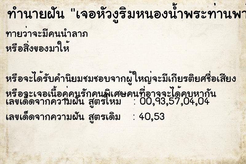 ทำนายฝันทำนายฝันเจอหัวงูริมหนองน้ำพระท่านพาไปดู