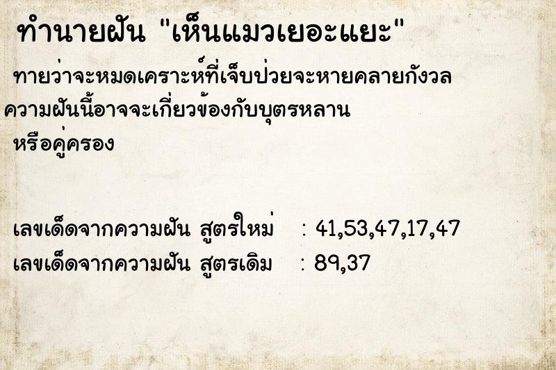 ทำนายฝันเห็นแมวเยอะแยะ ทำนายฝันทำนายฝันเห็นแมวเยอะแยะ