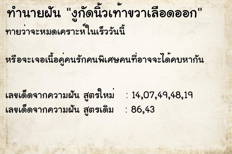 ทำนายฝัน งูกัดนิ้วเท้าขวาเลือดออก ทำนายฝัน งูกัดนิ้วเท้าขวาเลือดออก
