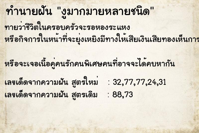 ทำนายฝันงูมากมายหลายชนิด ทำนายฝันทำนายฝันงูมากมายหลายชนิด