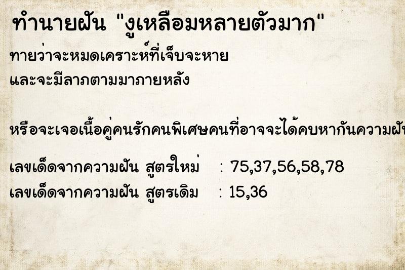 ทำนายฝัน งูเหลือมหลายตัวมาก ทำนายฝัน งูเหลือมหลายตัวมาก