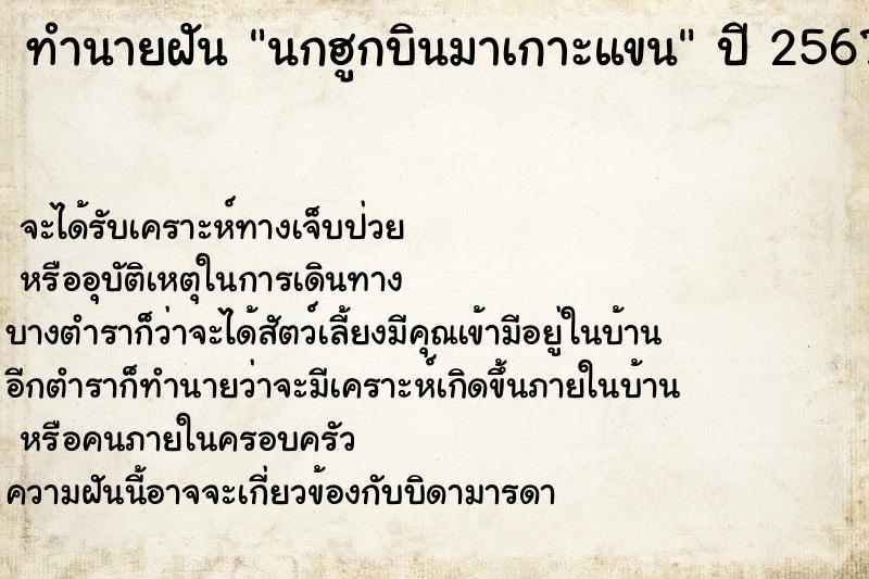 ทำนายฝัน นกฮูกบินมาเกาะแขน ทำนายฝัน นกฮูกบินมาเกาะแขน