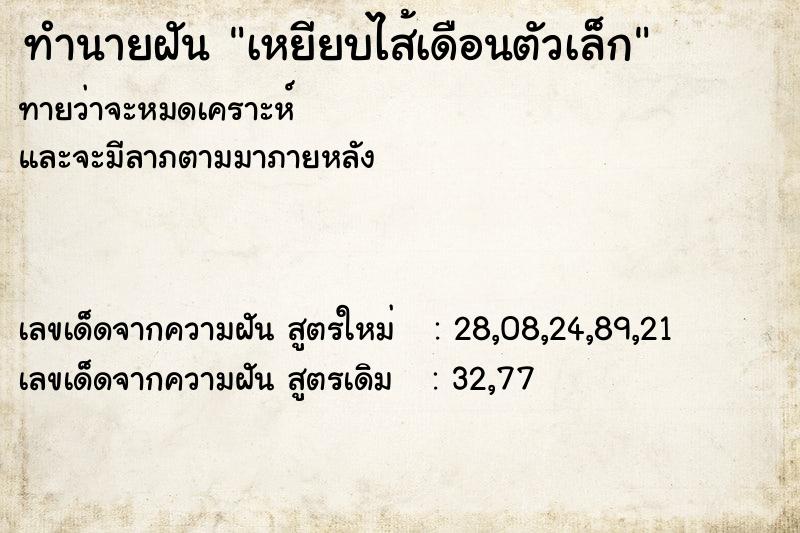 ทำนายฝันทำนายฝันเหยียบไส้เดือนตัวเล็ก