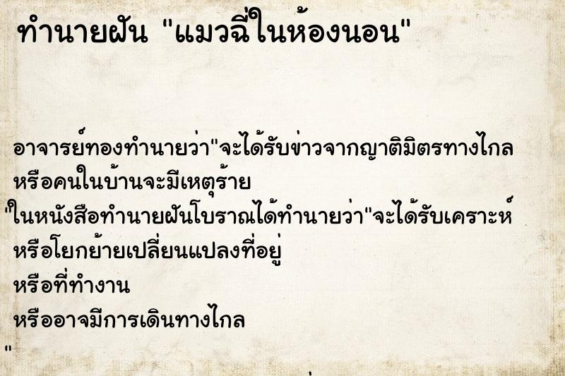 ทำนายฝัน แมวฉี่ในห้องนอน ทำนายฝัน แมวฉี่ในห้องนอน