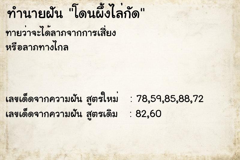 ทำนายฝันโดนผึ้งไล่กัด ทำนายฝันทำนายฝันโดนผึ้งไล่กัด