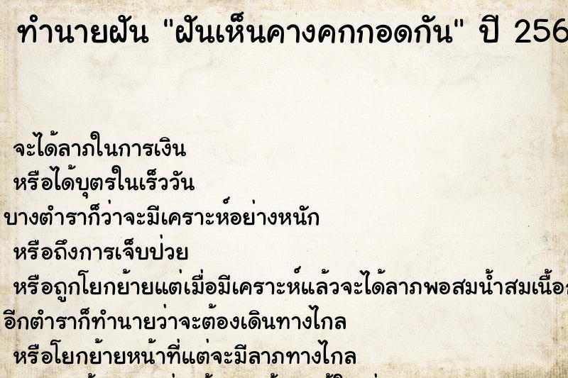 ทำนายฝันฝันเห็นคางคกกอดกัน ทำนายฝันทำนายฝันฝันเห็นคางคกกอดกัน