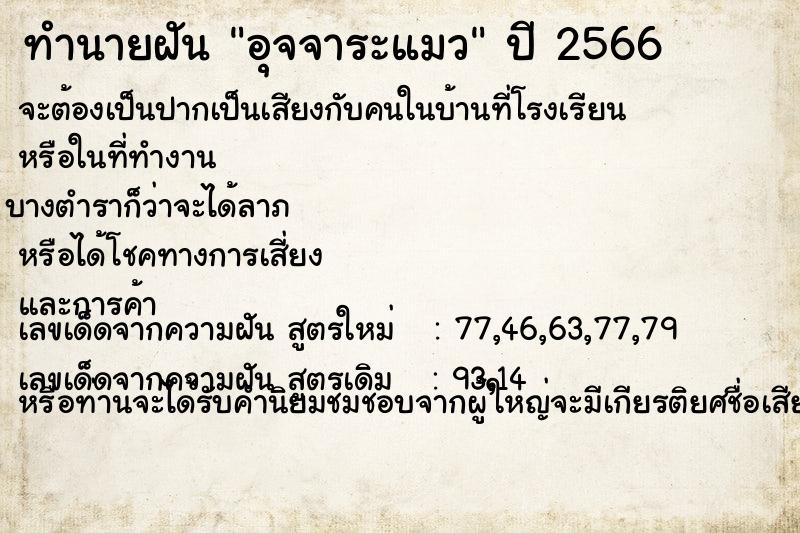 ทำนายฝัน อุจจาระแมว ทำนายฝัน อุจจาระแมว