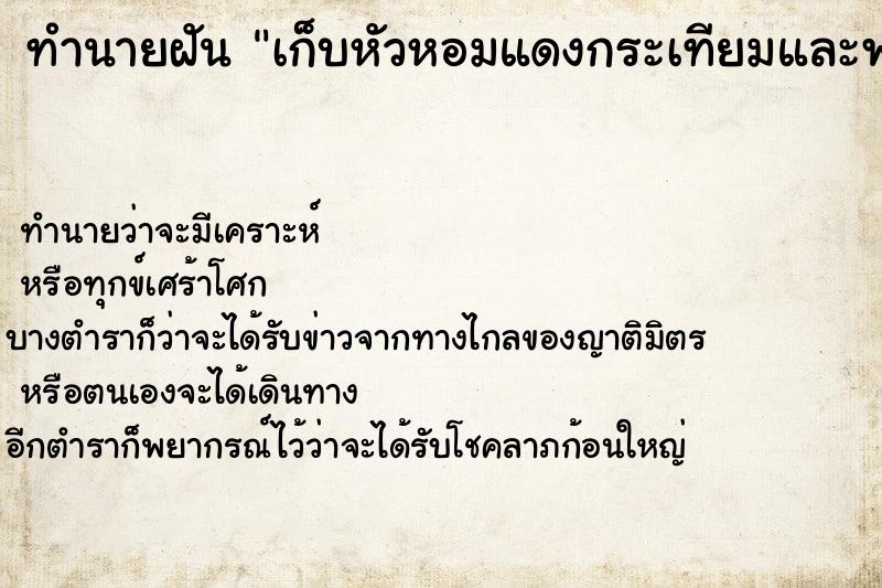ทำนายฝันทำนายฝันเก็บหัวหอมแดงกระเทียมและพริกแห้งใส่ถุง