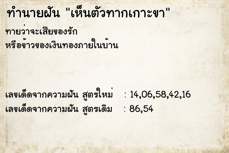 ทำนายฝันทำนายฝันเห็นตัวทากเกาะขา