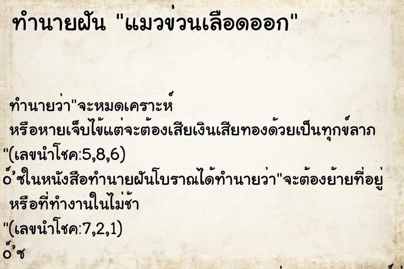 ทำนายฝัน แมวข่วนเลือดออก ทำนายฝัน แมวข่วนเลือดออก