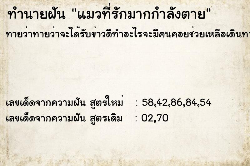 ทำนายฝันแมวที่รักมากกำลังตาย ทำนายฝันทำนายฝันแมวที่รักมากกำลังตาย