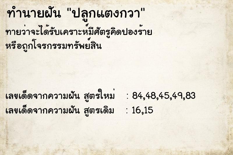 ทำนายฝันปลูกแตงกวา ทำนายฝันทำนายฝันปลูกแตงกวา