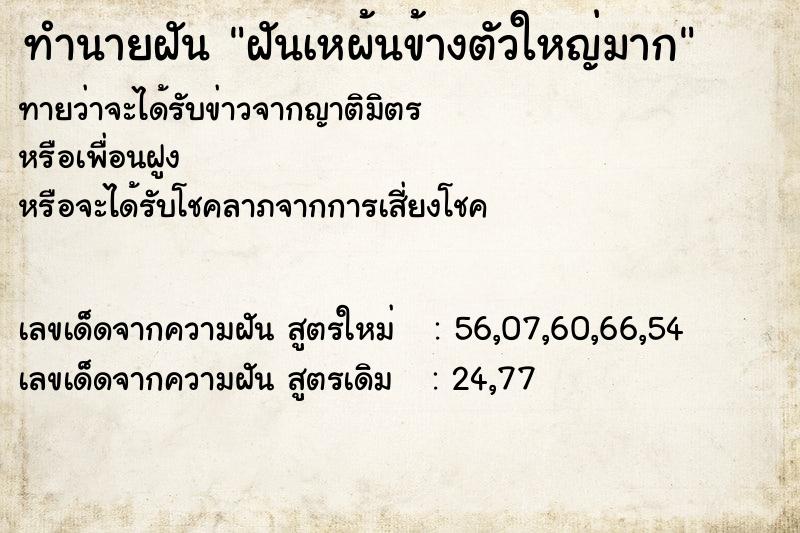 ทำนายฝันทำนายฝันฝันเหผ้นข้างตัวใหญ่มาก