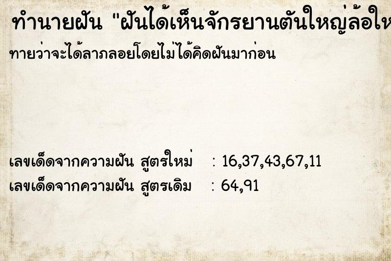 ทำนายฝันฝันได้เห็นจักรยานตันใหญ่ล้อใหญ่โตมาก ทำนายฝันทำนายฝันฝันได้เห็นจักรยานตันใหญ่ล้อใหญ่โตมาก