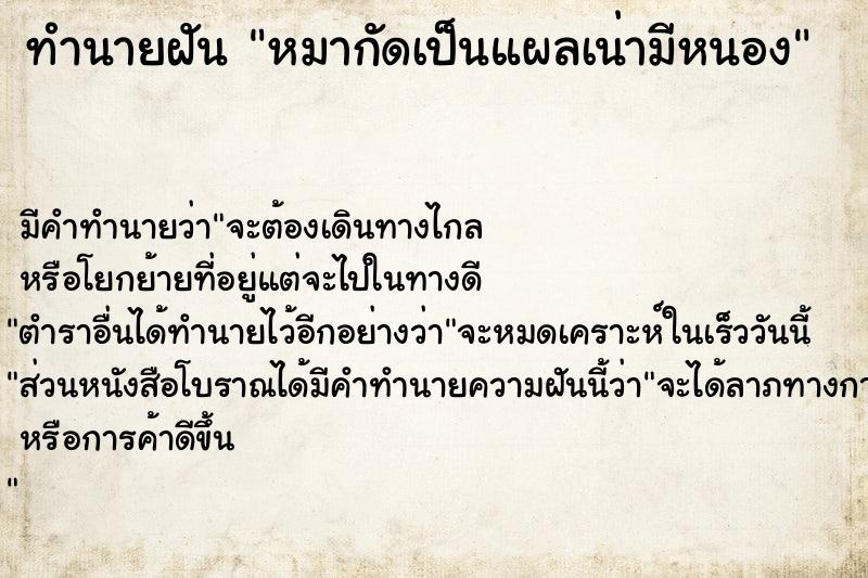 ทำนายฝันหมากัดเป็นแผลเน่ามีหนอง ทำนายฝันทำนายฝันหมากัดเป็นแผลเน่ามีหนอง
