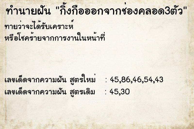 ทำนายฝันกิ้งกือออกจากช่องคลอด3ตัว ทำนายฝันทำนายฝันกิ้งกือออกจากช่องคลอด3ตัว