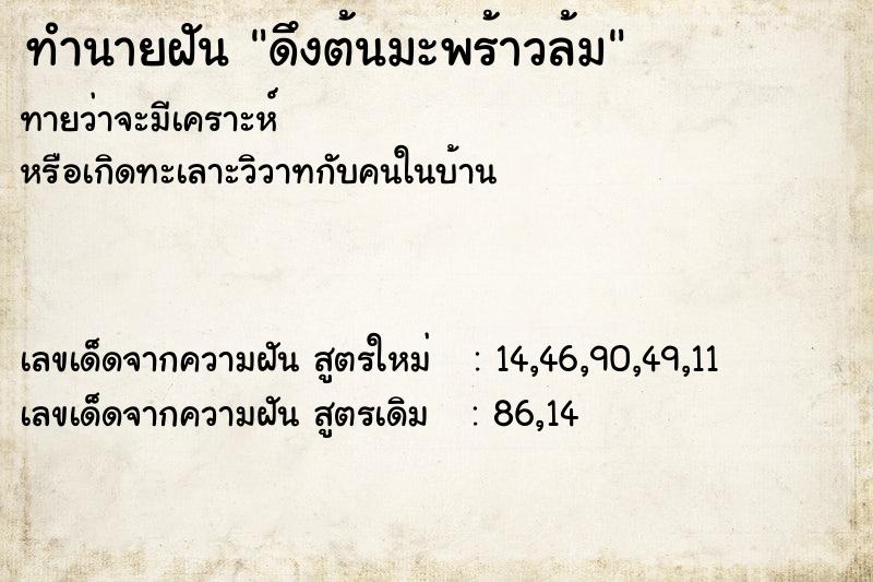 ทำนายฝันดึงต้นมะพร้าวล้ม ทำนายฝันทำนายฝันดึงต้นมะพร้าวล้ม