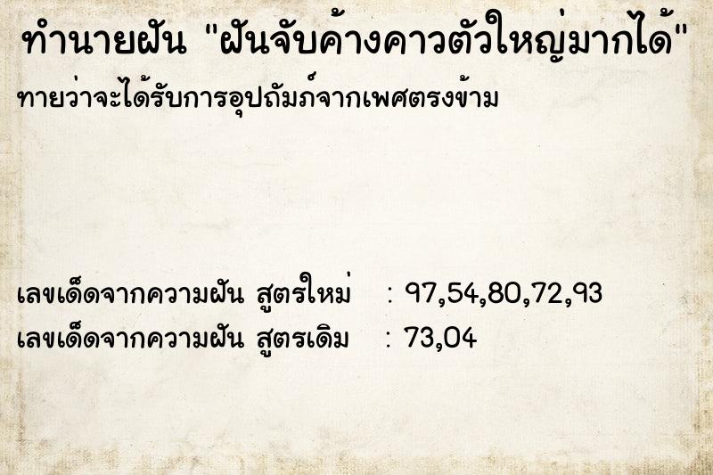 ทำนายฝัน ฝันจับค้างคาวตัวใหญ่มากได้