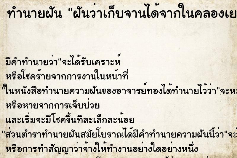 ทำนายฝัน ฝันว่าเก็บจานได้จากในคลองเยอะมาก ทำนายฝัน ฝันว่าเก็บจานได้จากในคลองเยอะมาก