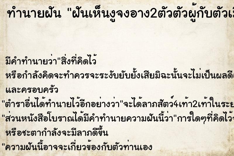 ทำนายฝัน ฝันเห็นงูจงอาง2ตัวตัวผู้กับตัวเมีย ทำนายฝัน ฝันเห็นงูจงอาง2ตัวตัวผู้กับตัวเมีย