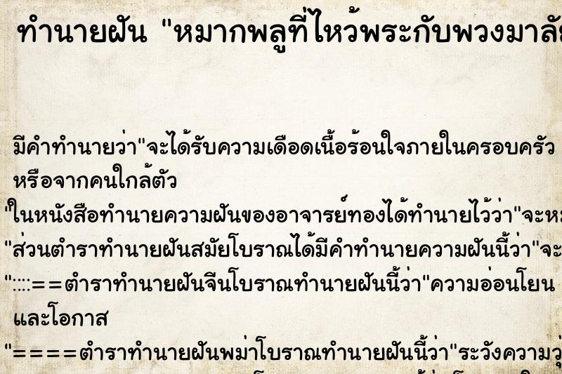 ทำนายฝันหมากพลูที่ไหว้พระกับพวงมาลัยดาวเรือง ทำนายฝันทำนายฝันหมากพลูที่ไหว้พระกับพวงมาลัยดาวเรือง