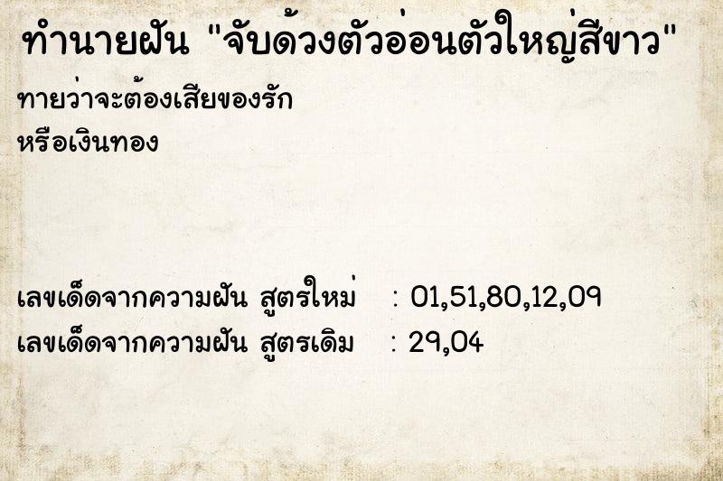 ทำนายฝันจับด้วงตัวอ่อนตัวใหญ่สีขาว ทำนายฝันทำนายฝันจับด้วงตัวอ่อนตัวใหญ่สีขาว