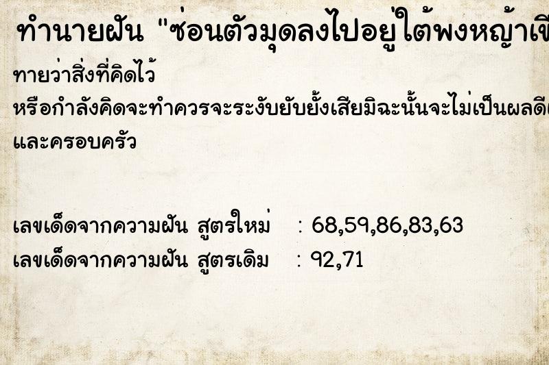 ทำนายฝันซ่อนตัวมุดลงไปอยู่ใต้พงหญ้าเขียวขจี ทำนายฝันทำนายฝันซ่อนตัวมุดลงไปอยู่ใต้พงหญ้าเขียวขจี