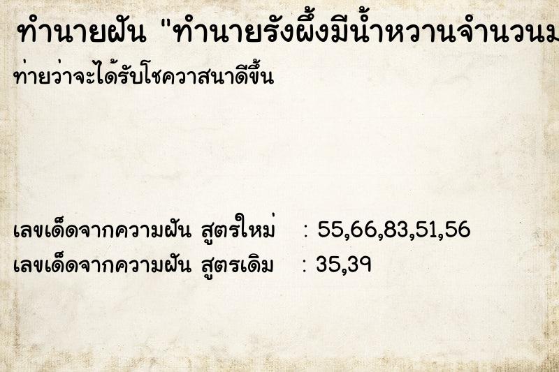 ทำนายฝัน ทำนายรังผึ้งมีน้ำหวานจำนวนมากได้ทานน้ำผึ้ง ทำนายฝัน ทำนายรังผึ้งมีน้ำหวานจำนวนมากได้ทานน้ำผึ้ง