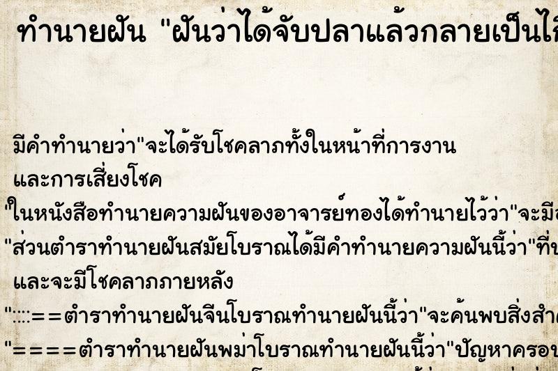 ทำนายฝันฝันว่าได้จับปลาแล้วกลายเป็นไก่ื ทำนายฝันทำนายฝันฝันว่าได้จับปลาแล้วกลายเป็นไก่ื