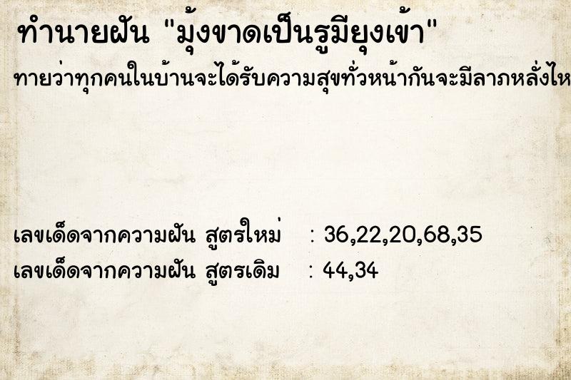 ทำนายฝันทำนายฝันมุ้งขาดเป็นรูมียุงเข้า